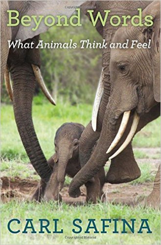 Beyond Words- What Animals Think and Feel