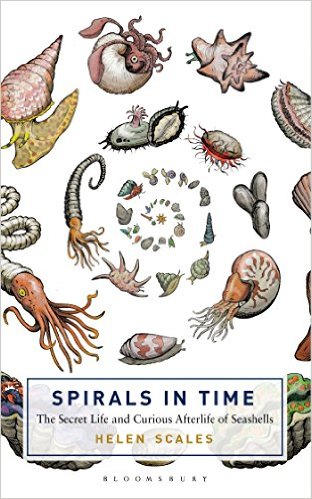 Spirals in Time- The Secret Life and Curious Afterlife of Seashells