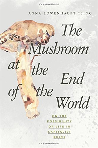 The Mushroom at the End of the World- On the Possibility of Life in Capitalist Ruins
