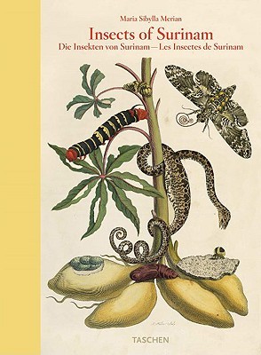 maria-sibylla-merian-insects-of-surinam-by-maria-sibylla-merian-katharina-schmidt-loske-editor