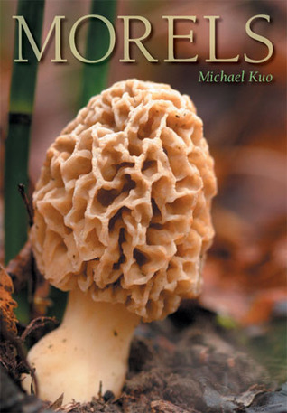 morels-by-michael-kuo
