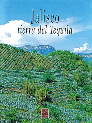 jalisco-tierra-del-tequila-margarita-de-arellana
