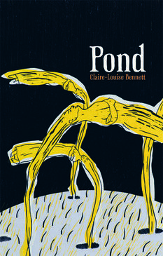 pond-by-claire-louise-bennett