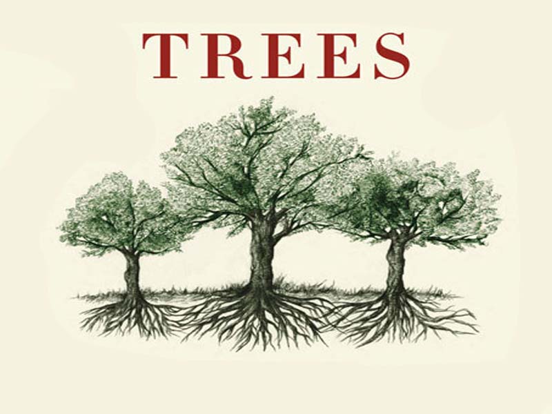 The Best Books About Trees (Nonfiction & Fiction)