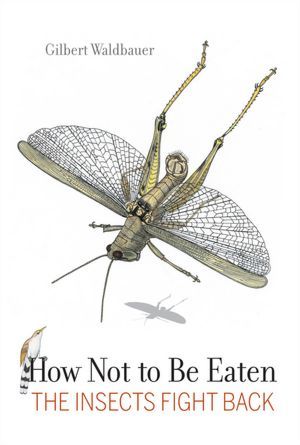 The Best Books About Insects Amp Entomology