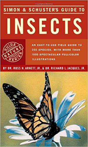 Simon Schusters Guide To Insects Fireside Books Holiday House