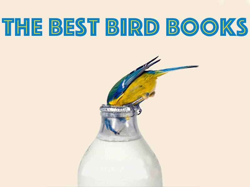 The Best Books About or Featuring Birds