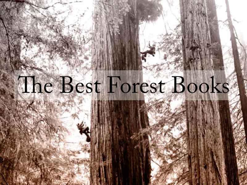 The Best Books About Forests & Forestry