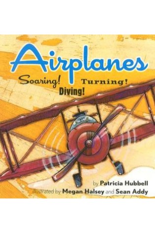 Airplanes: Soaring! Diving! Turning!