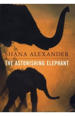 The Astonishing Elephant