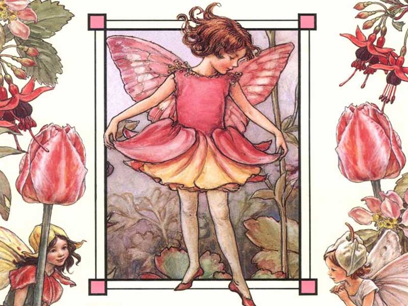 Best Books About Fairies