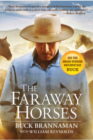 Faraway Horses