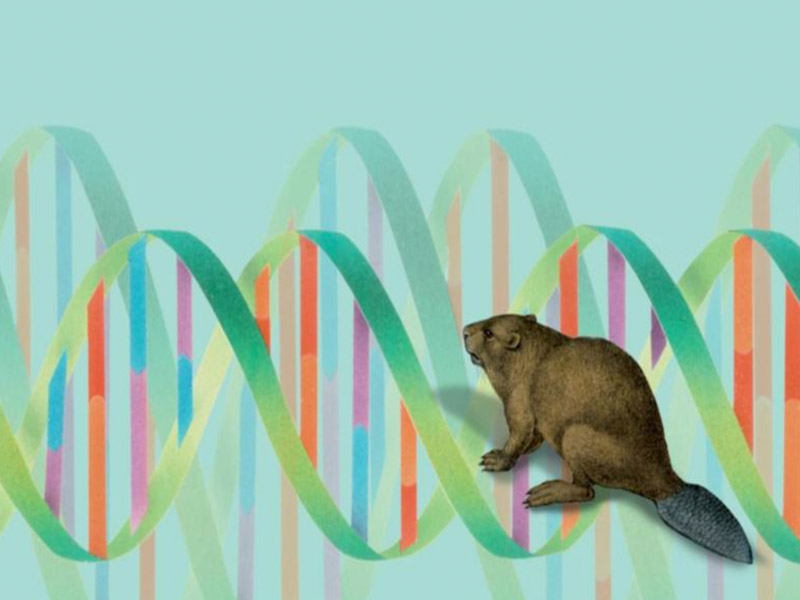 The Best Books About Genetics