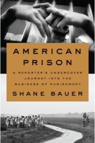 American Prison: A Reporter's Undercover Journey Into The Business Of Punishment