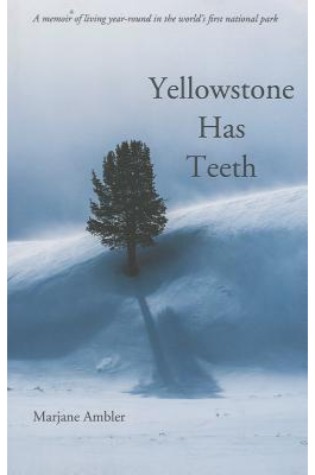 	Yellowstone Has Teeth	