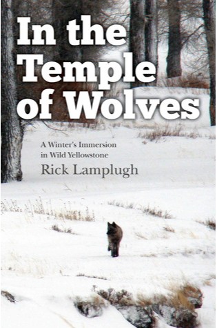 	In the Temple of Wolves: A Winter's Immersion in Wild Yellowstone	