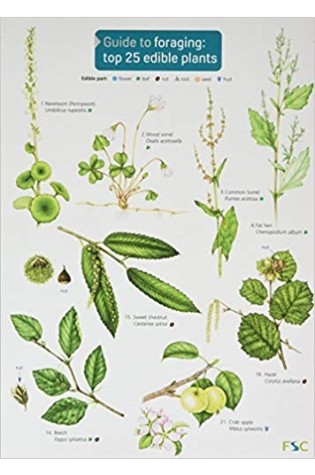 	Guide to foraging: top 25 edible plants	