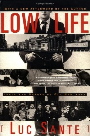 Low Life: Lures and Snares of Old New York