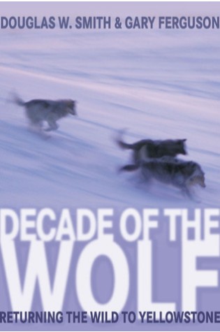 Decade of the Wolf: Returning the Wild to Yellowstone  