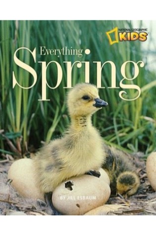 Everything Spring  