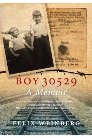 Boy 30529  