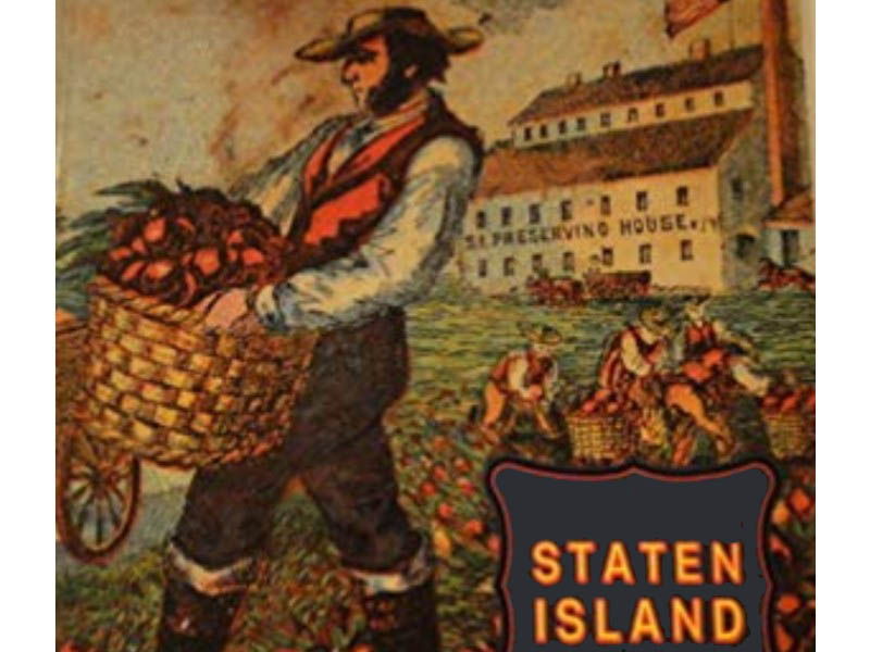 The Best Books About Or Featuring The Neighborhood Staten Island In New York City