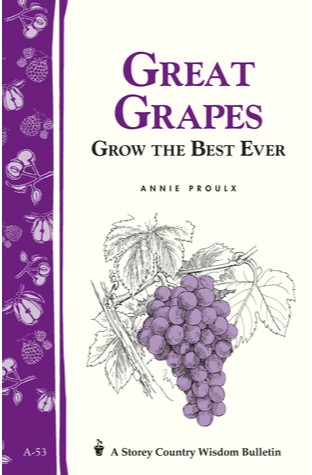 	A53 Great Grapes	