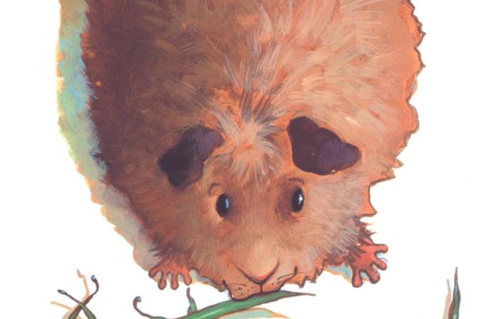The Best Children’s Books About Animals