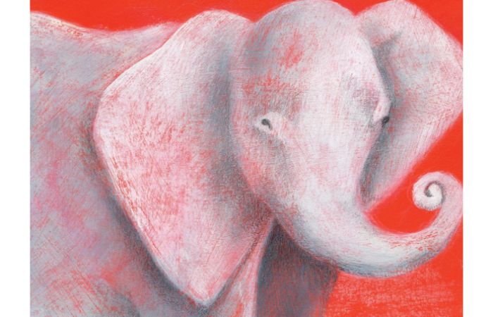 The Best Children’s Books About Elephants