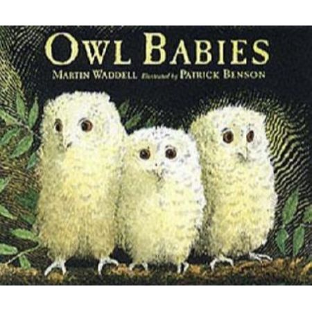 Owl Babies