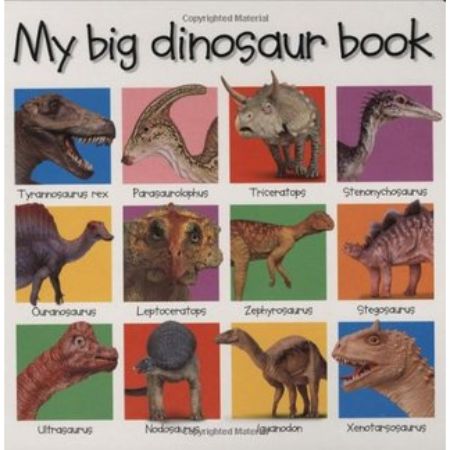 My Big Dinosaur Book 
