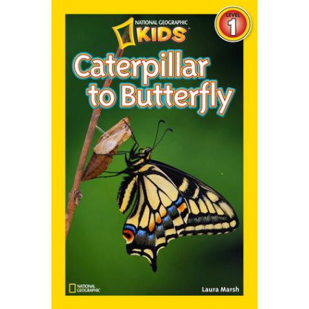 	National Geographic Readers: Caterpillar To Butterfly	