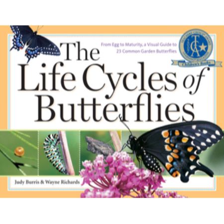 	The Life Cycles of Butterflies: From Egg to Maturity	