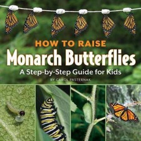 	How to Raise Monarch Butterflies: A Step-By-Step Guide for Kids	