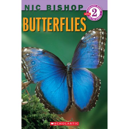 	Butterflies And Moths	