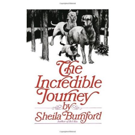 The Incredible Journey 