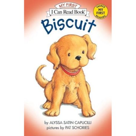 Biscuit