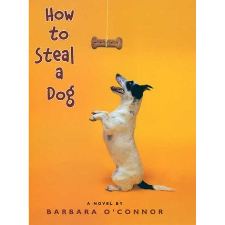 How to Steal a Dog 