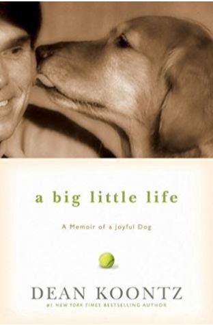 A Big Little Life  