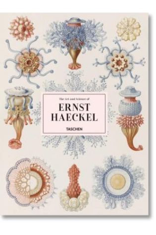 The Art & Science of Ernst Haeckel