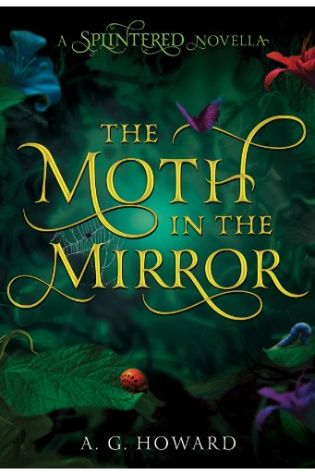 The Moth In The Mirror