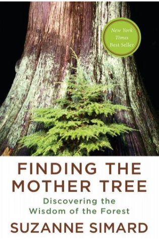 Finding the Mother Tree: Discovering How the Forest Is Wired for Intelligence and Healing