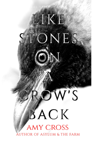 Like Stones On A Crows Back