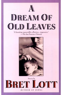 A Dream Of Old Leaves