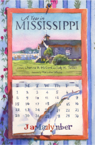 A Year In Mississippi