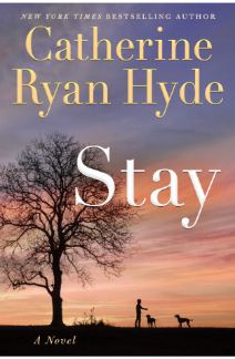 Stay