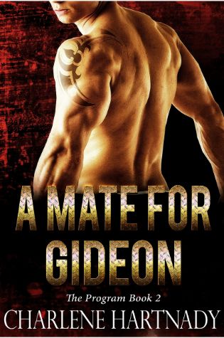 A Mate For Gideon