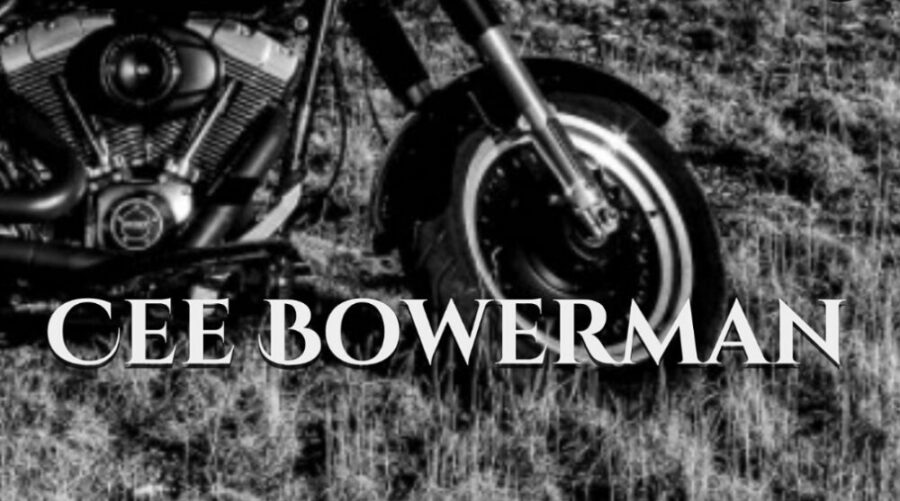 The Best Cee Bowerman Books – Author Bibliography Ranking