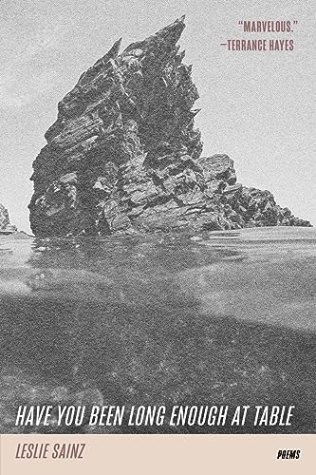 Largehearted Boy’s Favorite Poetry Collections of 2023