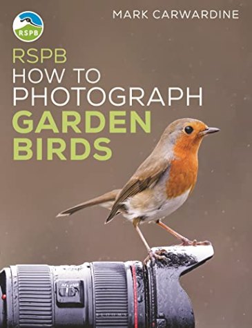 How to Photograph Garden Birds